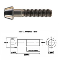 M4X30MM 0.7 THREAD PITCH TITANIUM TAPERED SOCKET HEAD BOLT