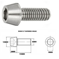 M6X15MM 1.00 THREAD PITCH TITANIUM TAPERED SOCKET HEAD BOLT