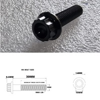 M8X30MM STEALTH 12 POINT BOLT 1.25 THREAD PITCH TITANIUM