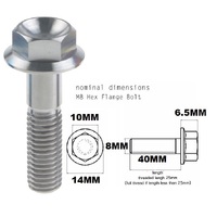 M8X40MM 1.25 THREAD PITCH TITANIUM FLANGE 10MM HEX BOLT GRADE 5