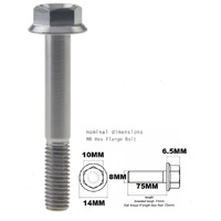 M8X75MM 1.25 THREAD PITCH TITANIUM FLANGE 10MM HEX BOLT GRADE 5