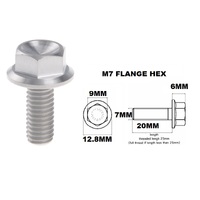 TITANIUM M7X1.00X20MM
