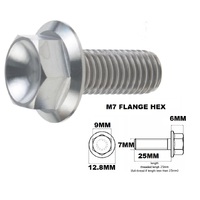 TITANIUM M7X1.00X25MM