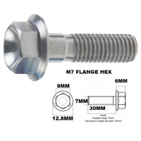 TITANIUM M7X1.00X30MM