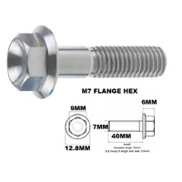 TITANIUM M7X1.00X40MM