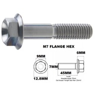 TITANIUM M7X1.00X45MM
