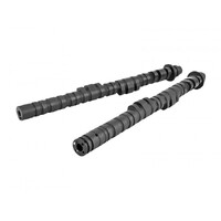 SKUNK2 TUNER DIC CAMSHAFT for K SERIES