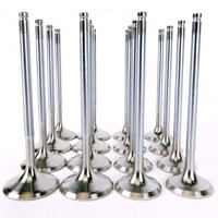 SKUNK2 ALPHA VALVES for STD COMP H SERIES 35MM/30MM