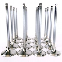 SKUNK2 ALPHA VALVES for STD COMP K SERIES 35MM/30MM