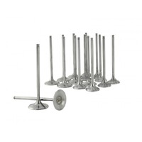 SKUNK2 ULTRA VALVES for STD COMP B SERIES 33MM/28MM