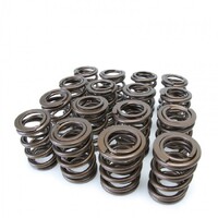SKUNK2 ALPHA VALVE SPRING SET for DOHC B VTEC