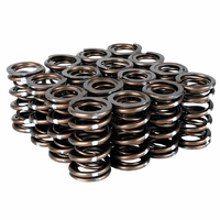 SKUNK2 PRO XP VALVE SPRING SET for DOHC B/H VTEC