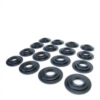 SKUNK2 H-SERIES VTEC SPRING BASE KIT