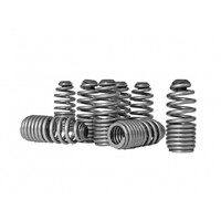 SKUNK2 LOST MOTION ASSEMBLY SPRING KIT for B VTEC