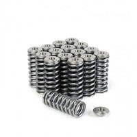 SKUNK2 ALPHA VALVE SPRING AND TI RETAINER KIT for SOHC D VTEC