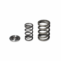 SKUNK2 ALPHA VALVE SPRING AND TI RETAINER KIT for DOHC H VTEC
