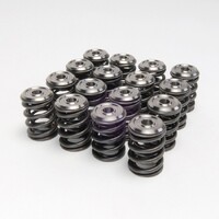 SKUNK2 ALPHA VALVE SPRING AND TI RETAINER KIT for K20/K24 & F20C/F22C