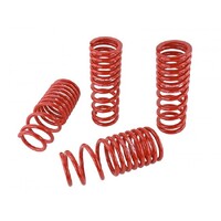 SKUNK2 LOWERING SPRINGS for '88-'91 CIVIC/ CRX