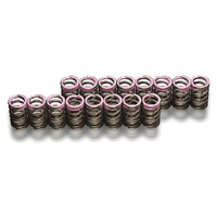 TODA RACING UPRATED VALVE SPRINGS K20A F22C F20C