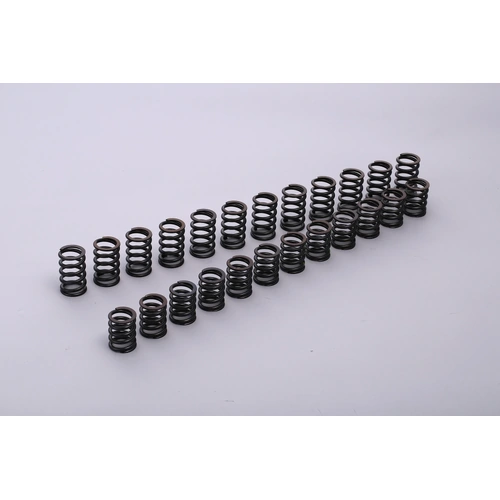 TOMEI VALVE SPRING A-TYPE For NISSAN R33 RB25 13203R855