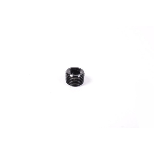 Radium NPT Round Internal Hex Plug