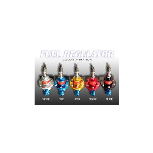 SARD FUEL REGULATOR (STANDARD)