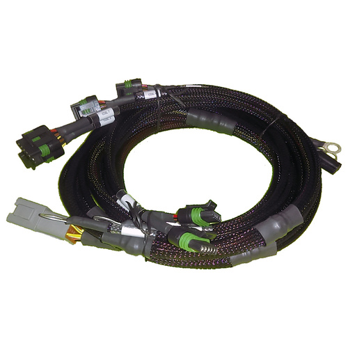 HALTECH V8 for GM/Chrysler Hemi Small/Big Block Harness HT-130306