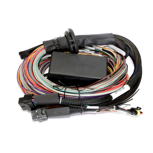 HALTECH Elite 1000 Premium Universal Wire-in Harness HT-140804