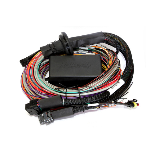 HALTECH Elite 2500 & 2500 T Premium UniversalWire-in Harness HT-141304
