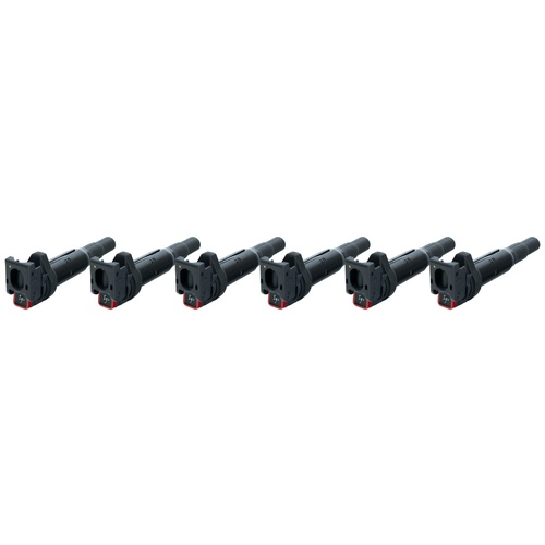 IP Coil for BMW 135i/335i/535i N54 Turbo SKU:IP-A122609
