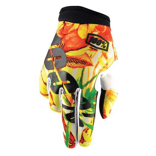 100% iTrack Paradise Gloves