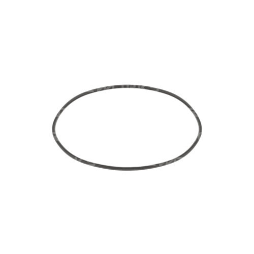 Raceworks Replacement O-Ring For ALY-083BK  RWM-006