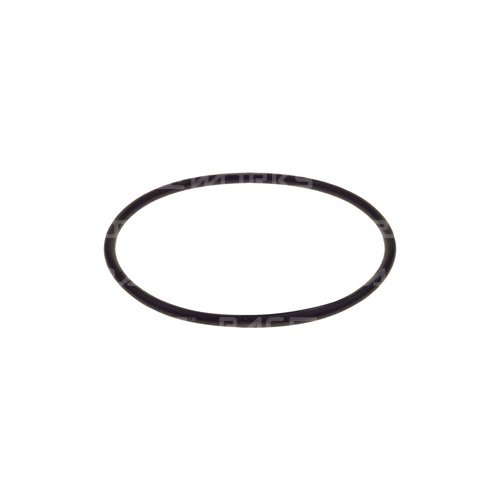 Raceworks Replacement O-Ring For Raceworks Fuel Filters  RWM-007