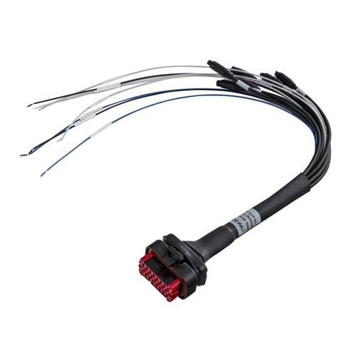 MXS Strada 23 pin harness