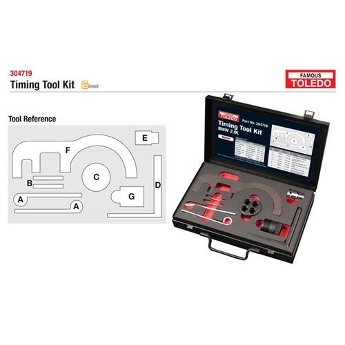 TOLEDO Toledo Timing Tool Kit - BMW 304719