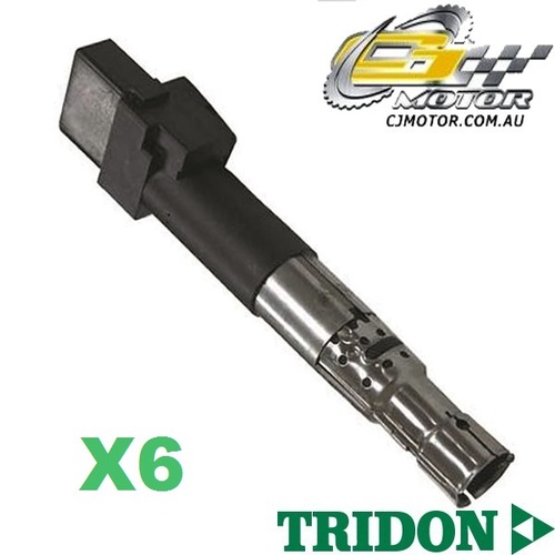 TRIDON IGNITION COIL x6 FOR Audi  A3 02/05-01/09, V6, 3.2L BMJ 