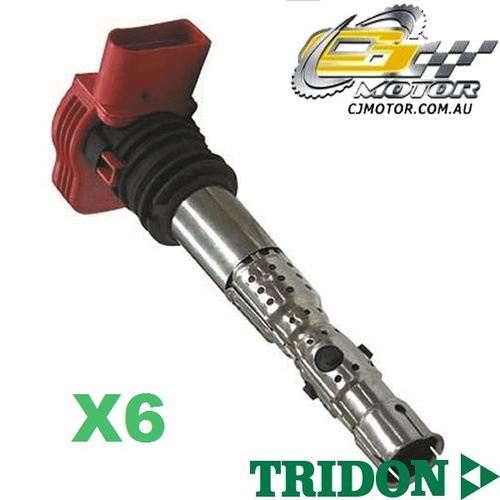 TRIDON IGNITION COIL x6 FOR Audi  A4 06/01-03/05, V6, 3.0L BBJ 