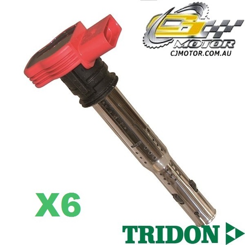 TRIDON IGNITION COIL x6 FOR Audi  A6 11/04-10/07, V6, 2.4L BDW 