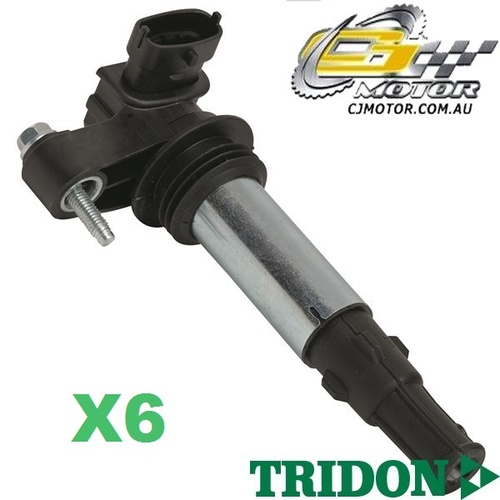 TRIDON IGNITION COIL x6 Commodore - V6 VZ 08/04-08/06, V6, 3.6L LE0 (175) 