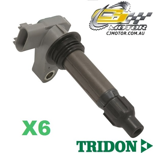 TRIDON IGNITION COIL x6 Commodore - V6 VZ 08/06-08/07, V6, 3.6L LE0 (175) 