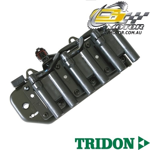 TRIDON IGNITION COIL FOR Hyundai  Trajet 06/02-06/10, V6, 2.7L 
