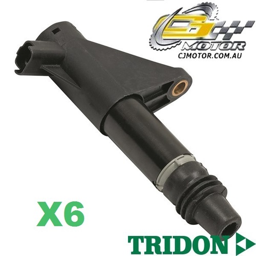 TRIDON IGNITION COIL x6 FOR Peugeot607 09/05-06/08, V6, 3.0L ES9A 