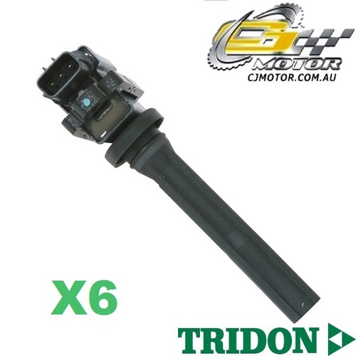 TRIDON IGNITION COIL x6 FOR Suzuki Grand Vitara SQ 04/98-08/05, V6, 2.5L H25A 