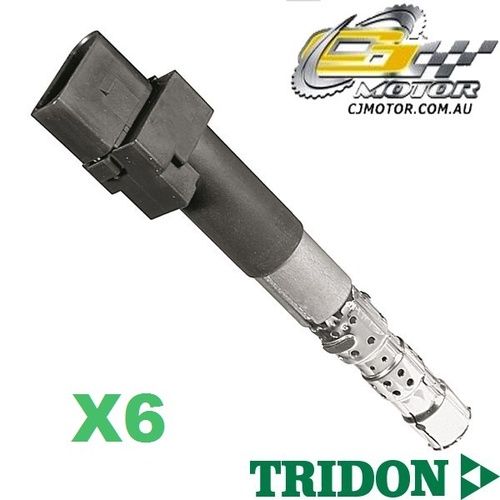 TRIDON IGNITION COIL x6 FOR Volkswagen Bora 06/01-02/05, V6, 2.8L AUE, BDE 