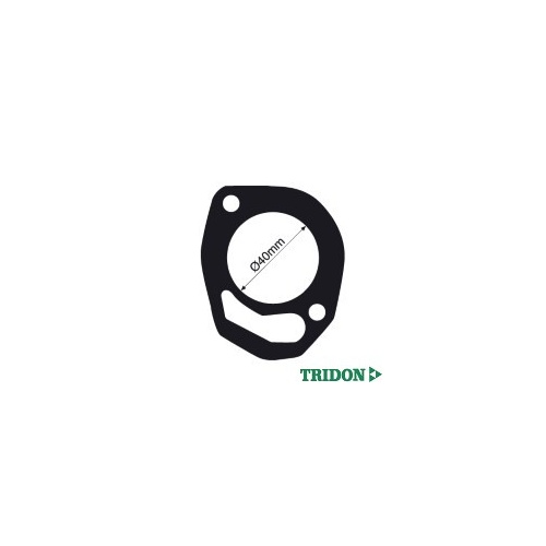 TRIDON Gasket For Jeep Renegade  01/81-12/84 4.2L 