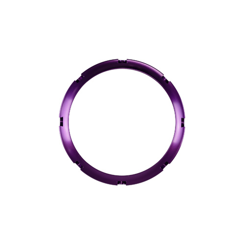 BOV PowerPort Collar Purple