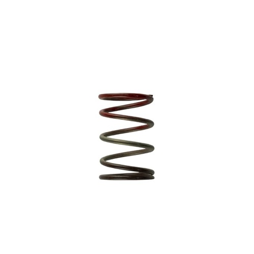Gen4 / IWG WG38/40/45/50L 11PSI MIDDLE SPRING - BROWN/RED