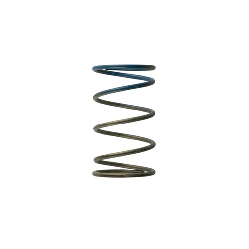 Gen4 / IWG WG38/40/45/50L 10PSI OUTER SPRING - BROWN/BLUE