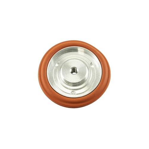IWG75 TP Diaphragm Assembly Replacement