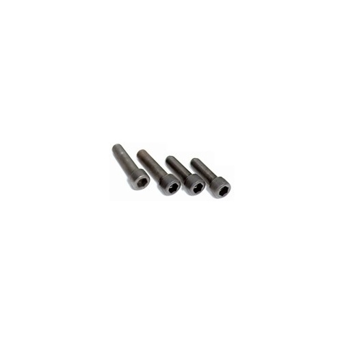 Torque Solution TS-EV-005 Transmission Mount Hardware Kit: Mitsubishi Evolution VII-IX 2001-2006